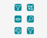 Views & Display ribbon buttons
